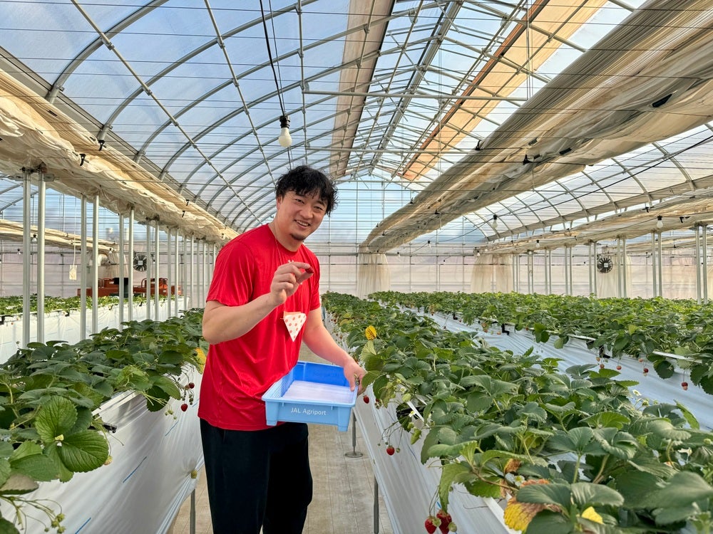 レポート】荒尾岳選手「G.CREW」JAL AGRIPORTにていちご狩り実施のご